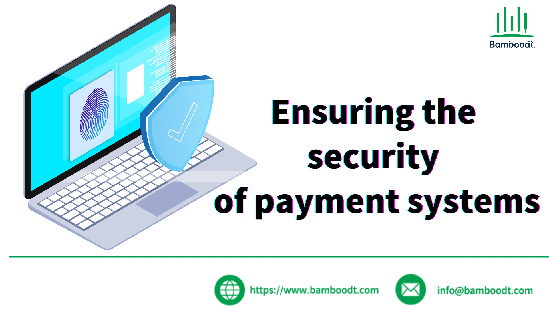 Ensuring the Security of Payment Systems: A Comprehensive Analysis of Functional Testing